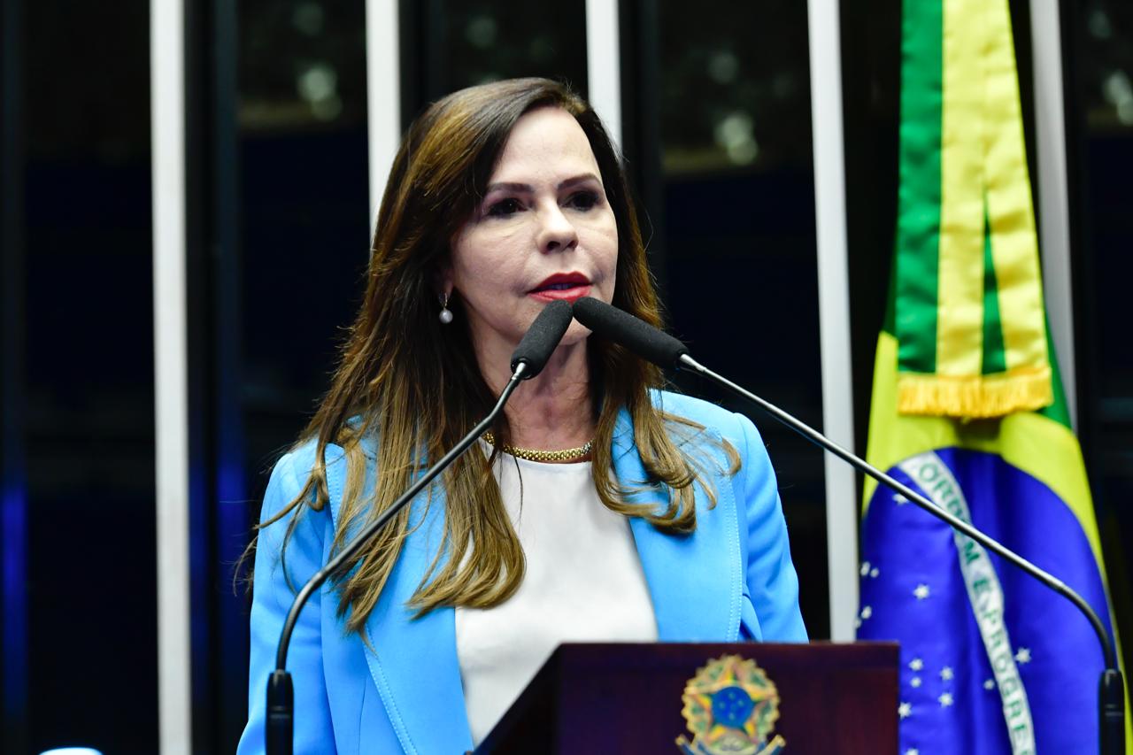 Senadora Dorinha e Fundações Maria Cecília e Dom Cabral abordarão os temas em aula online nesta sexta-feira